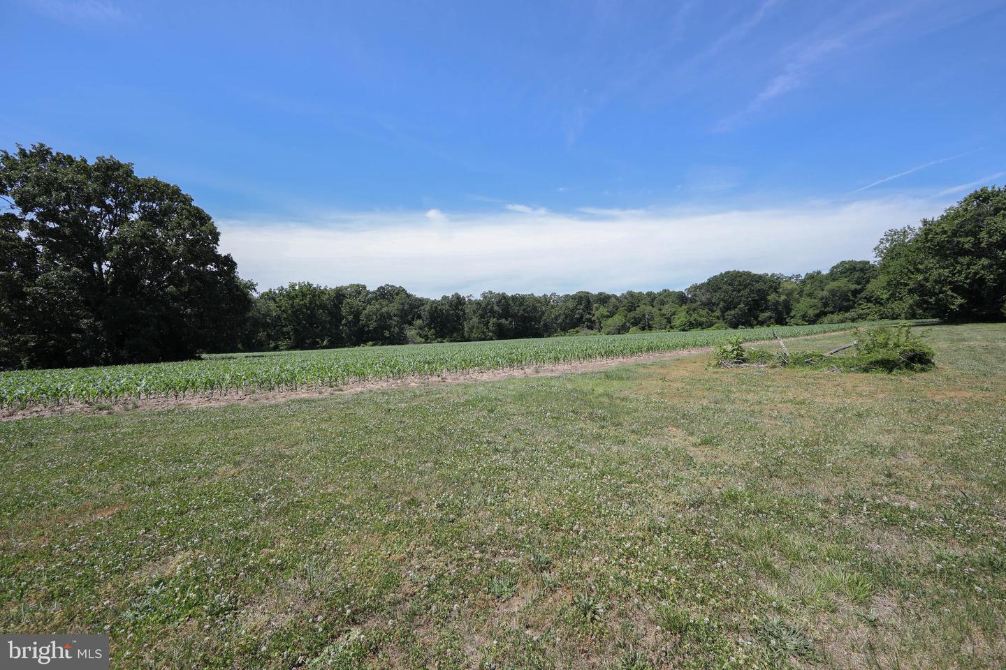 531 Garden Rd Property Photo 37