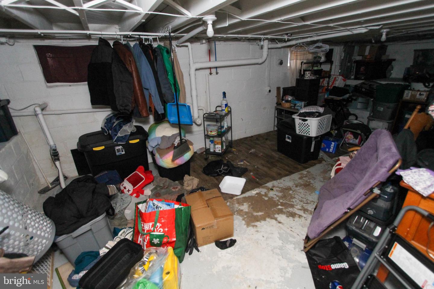 53 Spruce St Property Photo 19