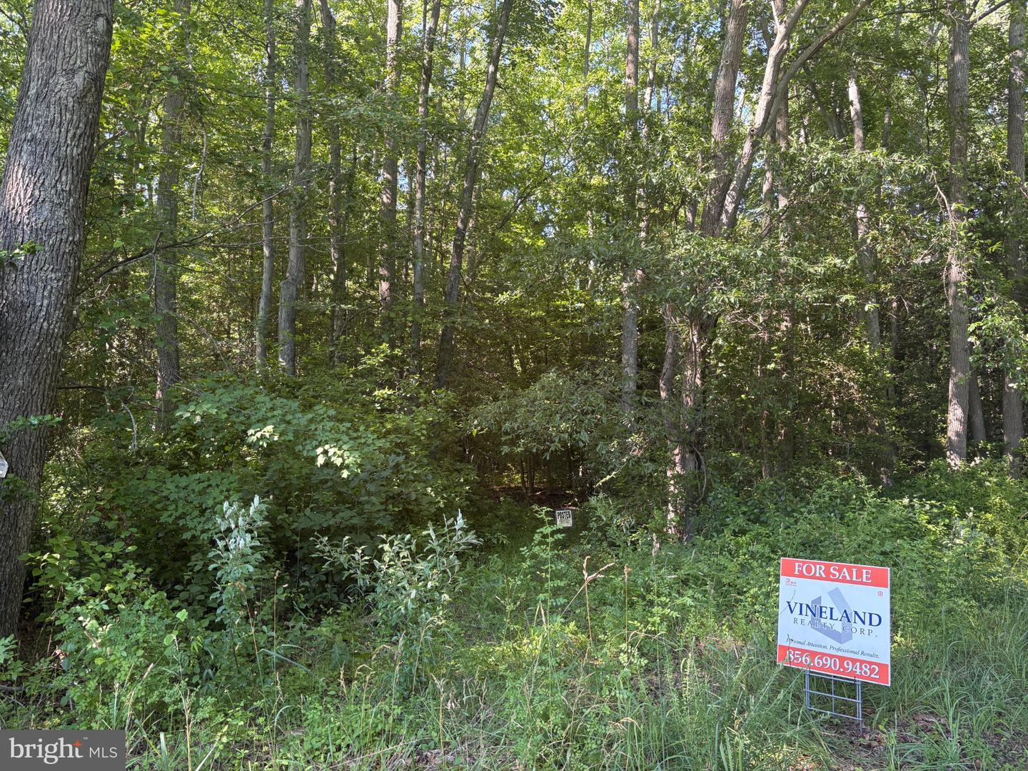 0 Mill Pond Road Property Photo 1