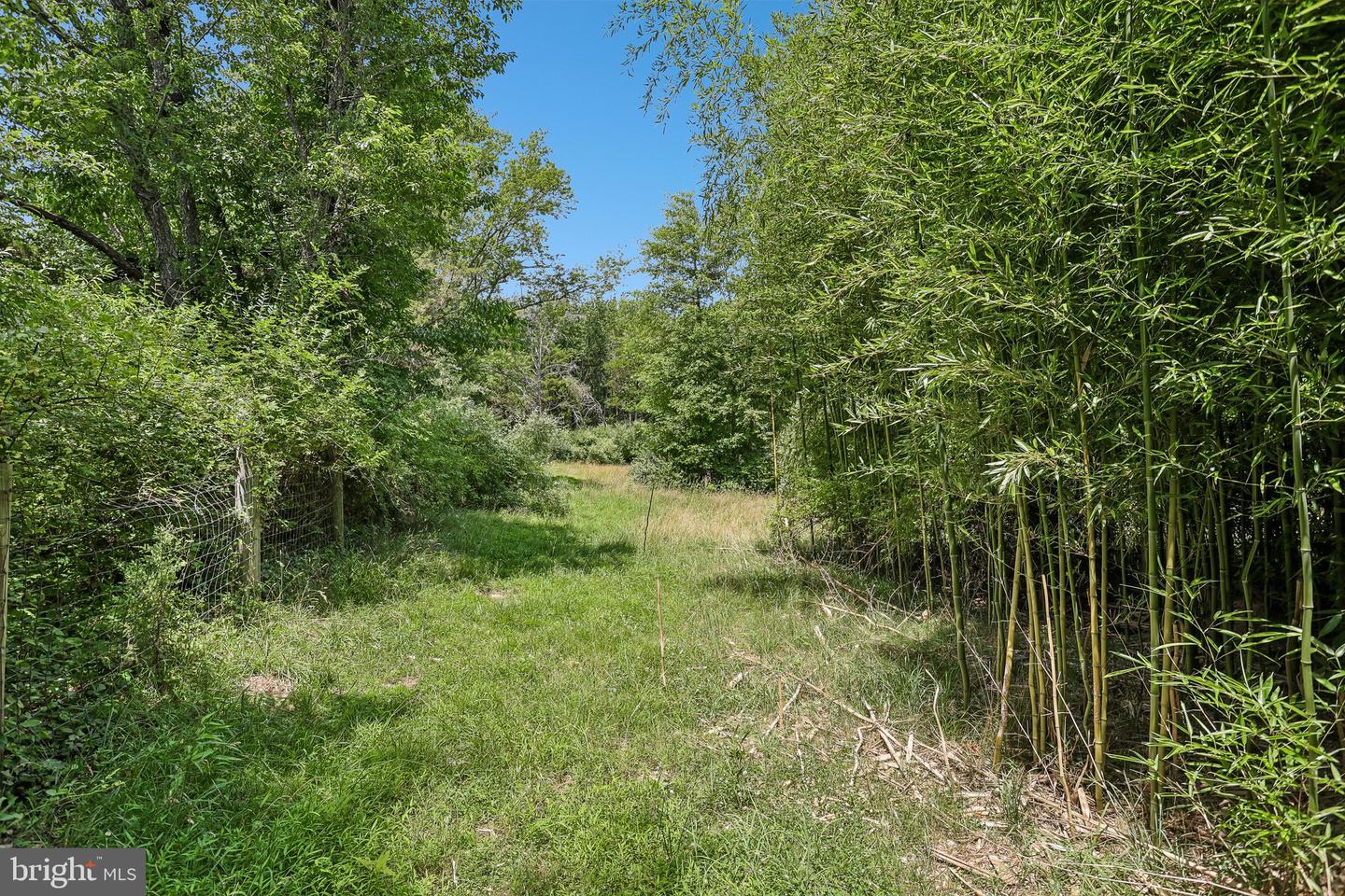 204 Alloway Aldine Rd Property Photo 20