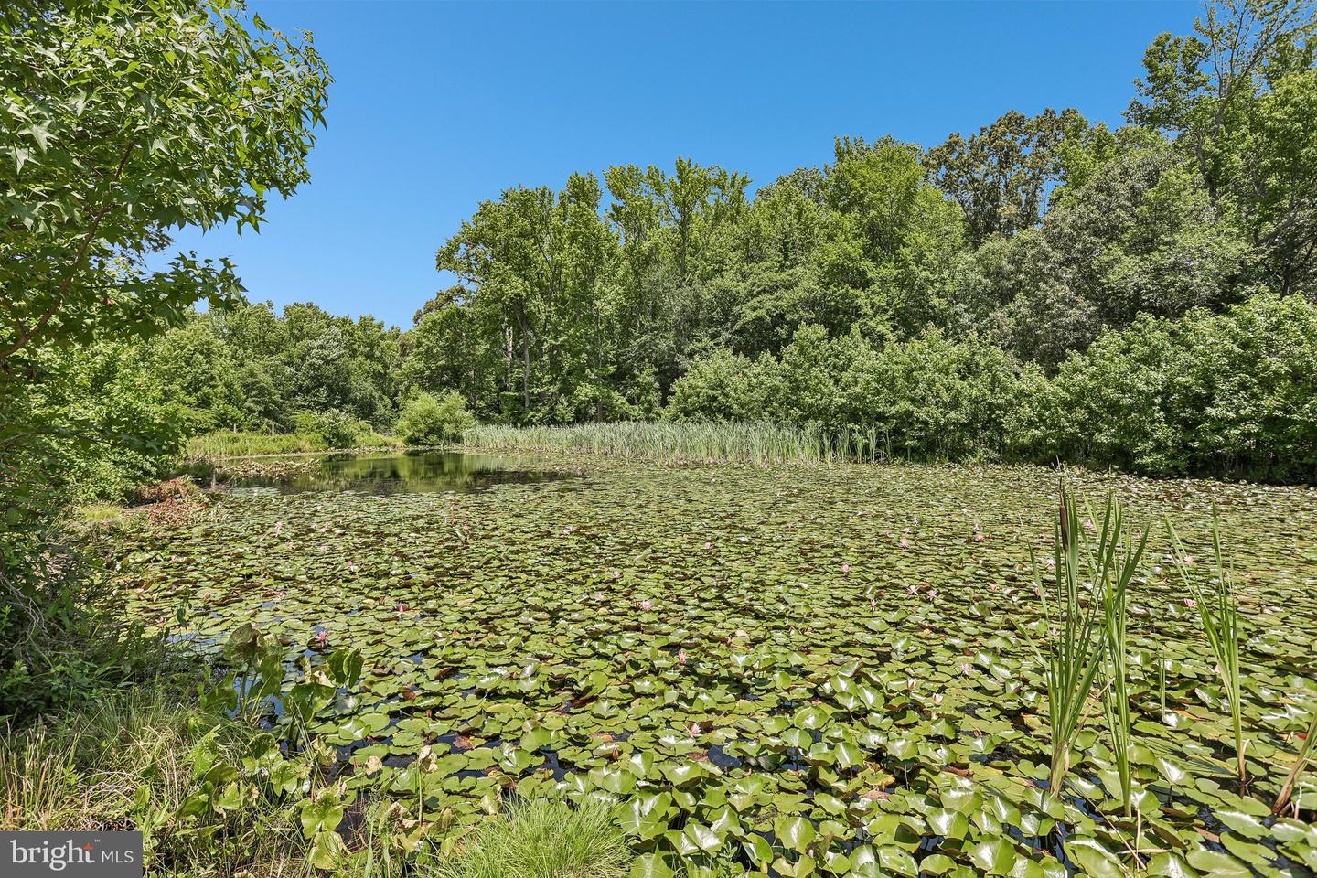 204 Alloway Aldine Rd Property Photo 22