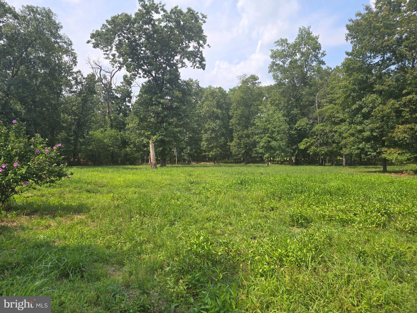 450 Almond Rd Property Photo 2