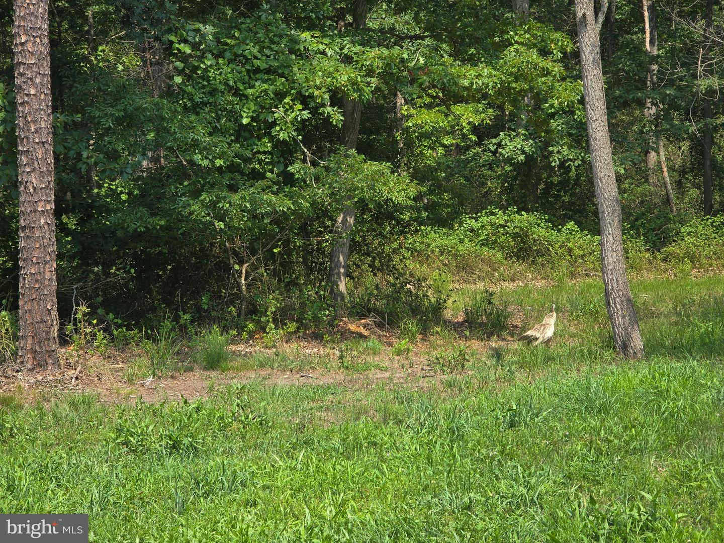 450 Almond Rd Property Photo 6