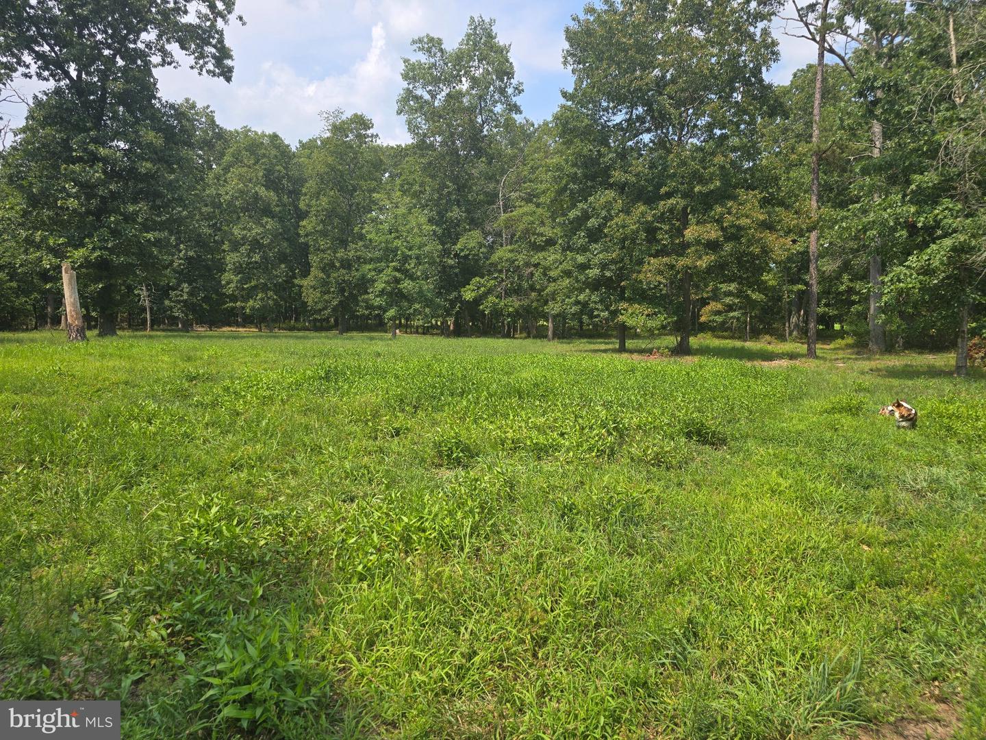 450 Almond Rd Property Photo 8