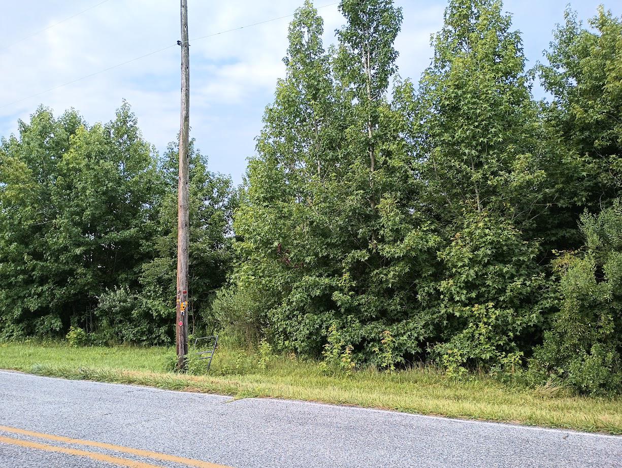 Cross Rd Property Photo 1