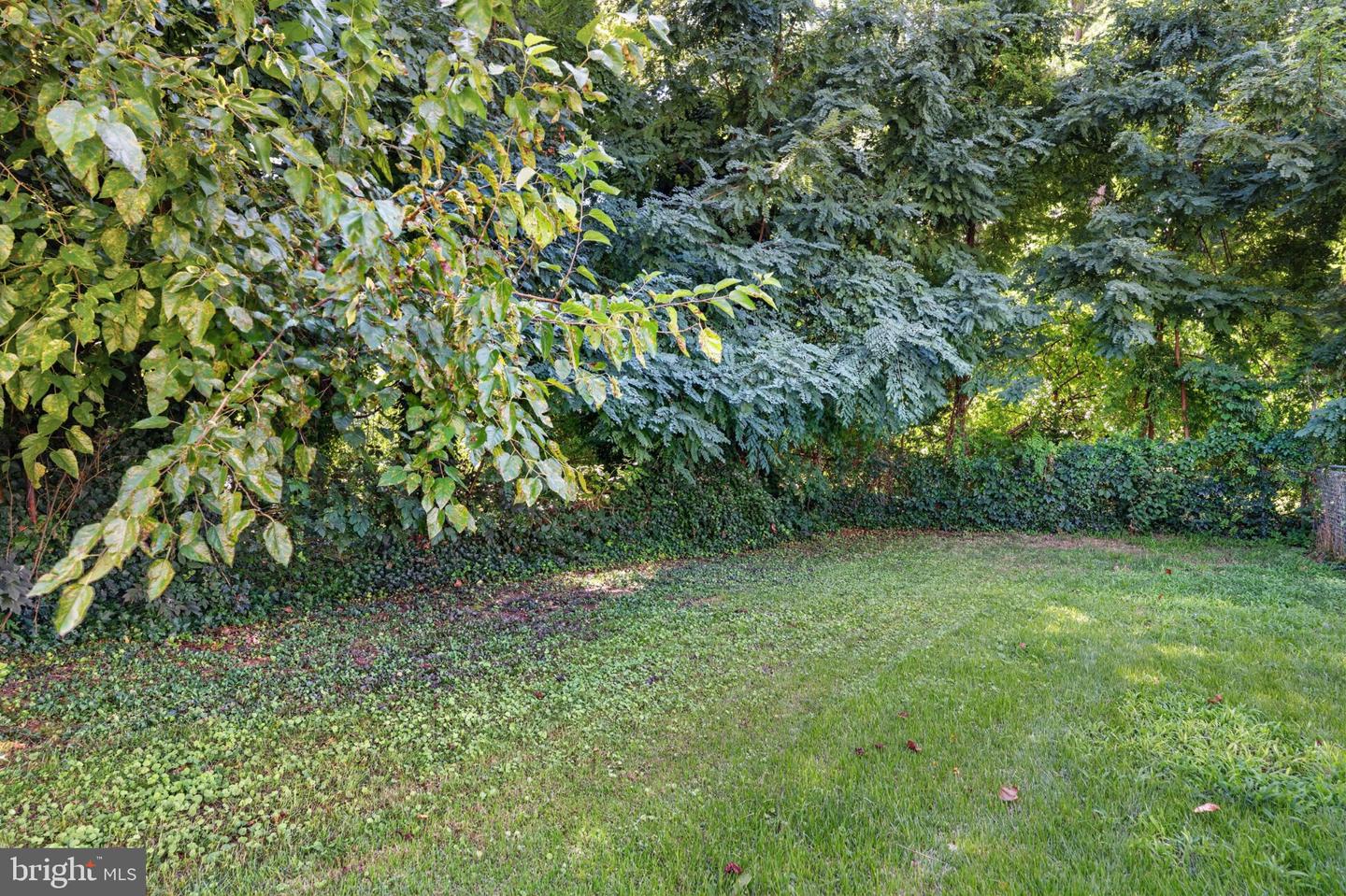 89 Chestnut St Property Photo 19
