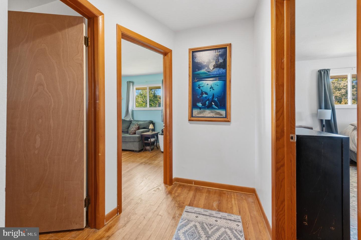 15 Plasket Ave Property Photo 15