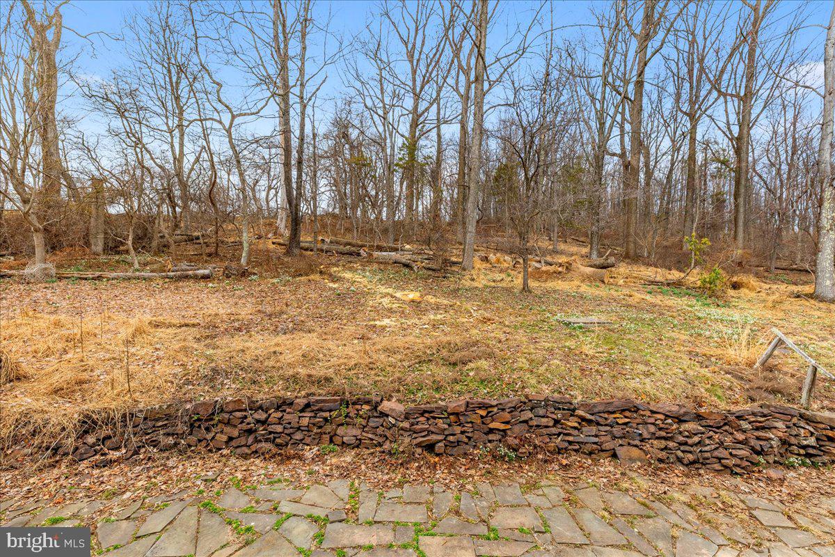 42 Stouts Rd Property Photo 26