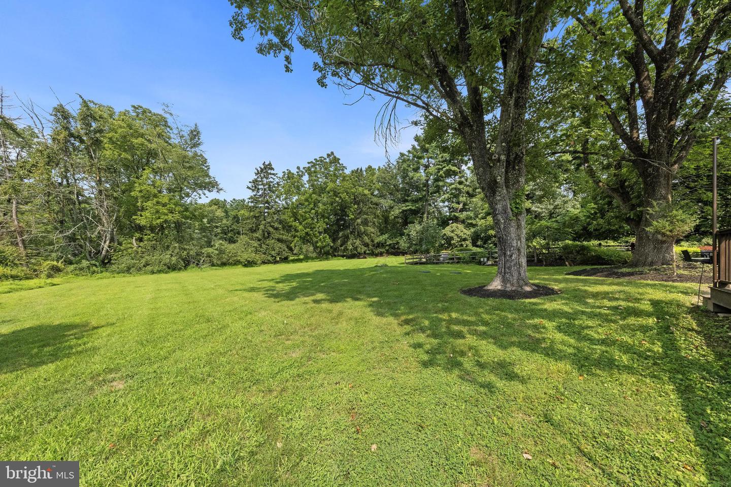 186 Fairview Rd Property Photo 89