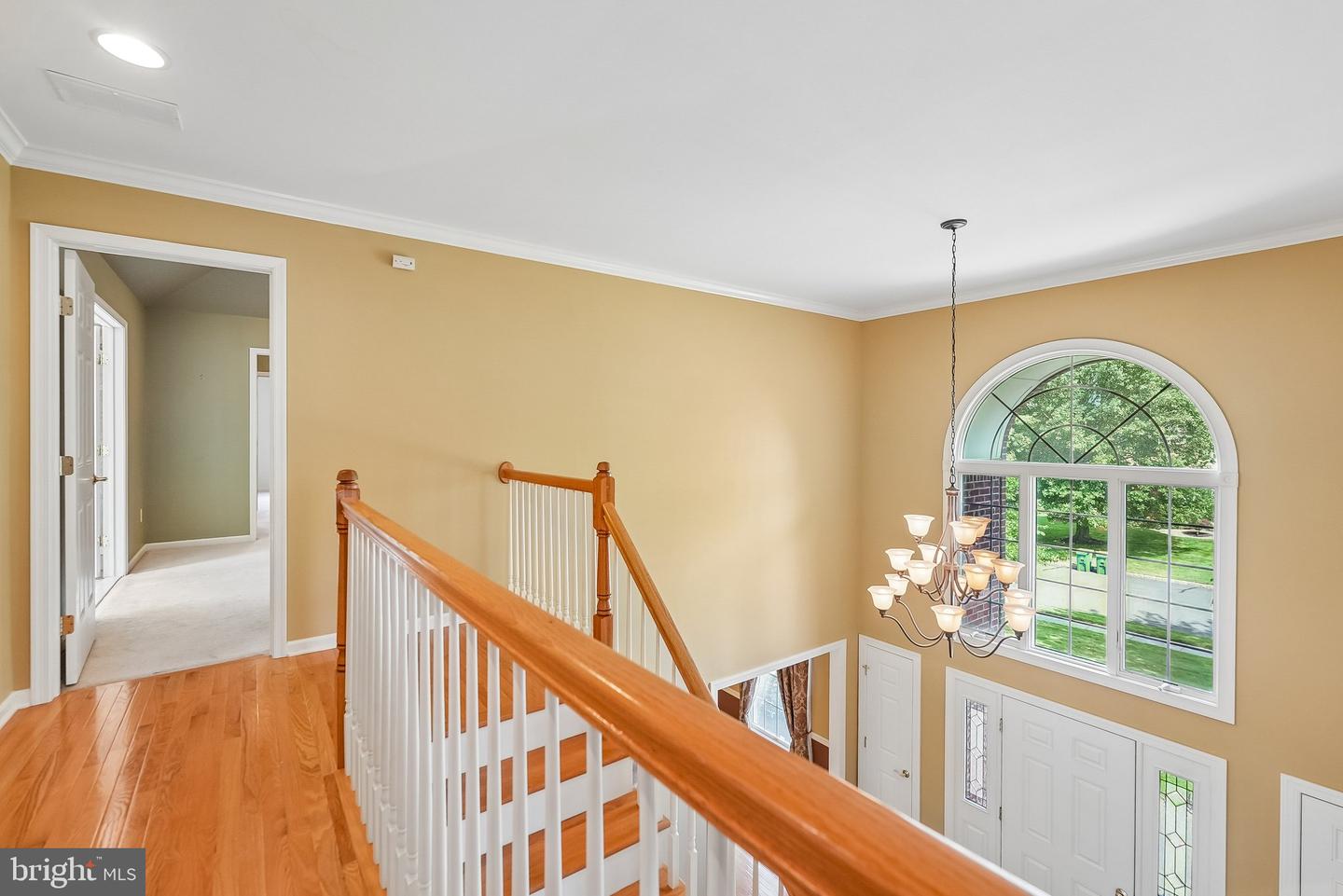 17 Burniston Ct Property Photo 34