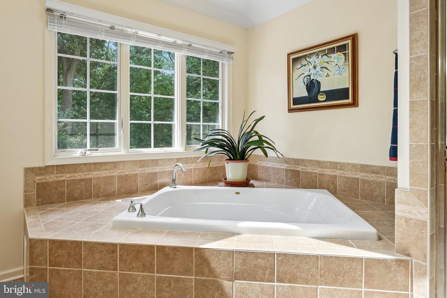 17 Burniston Ct Property Photo 35