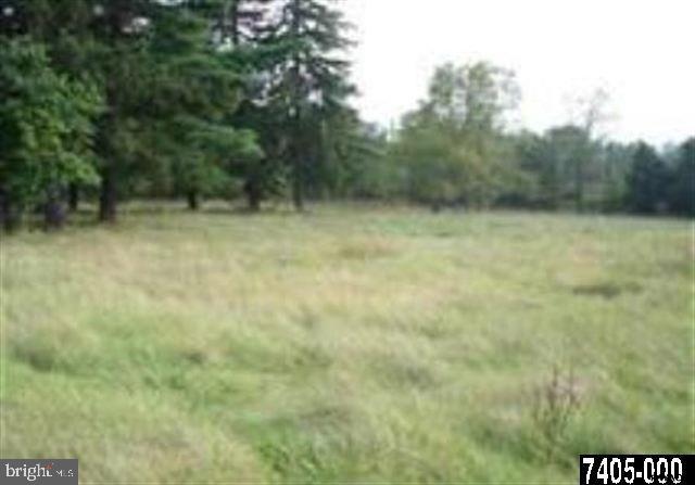 703 York Rd Property Photo 2