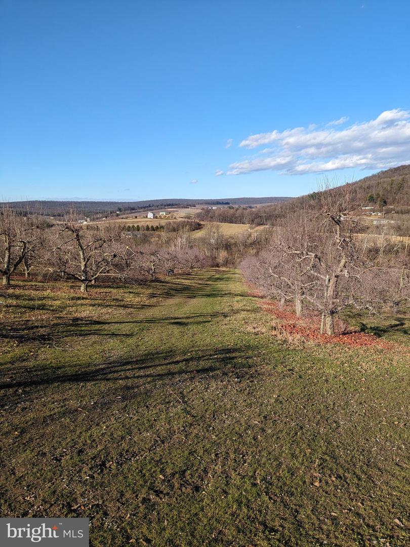 0 Mt Tabor Rd Property Photo
