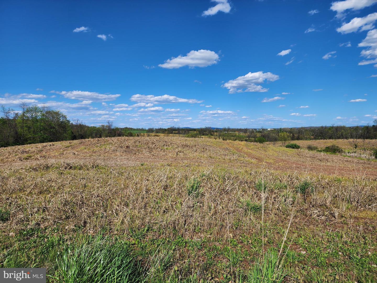 Lot 12.79 Acres Lindy Ave Property Photo