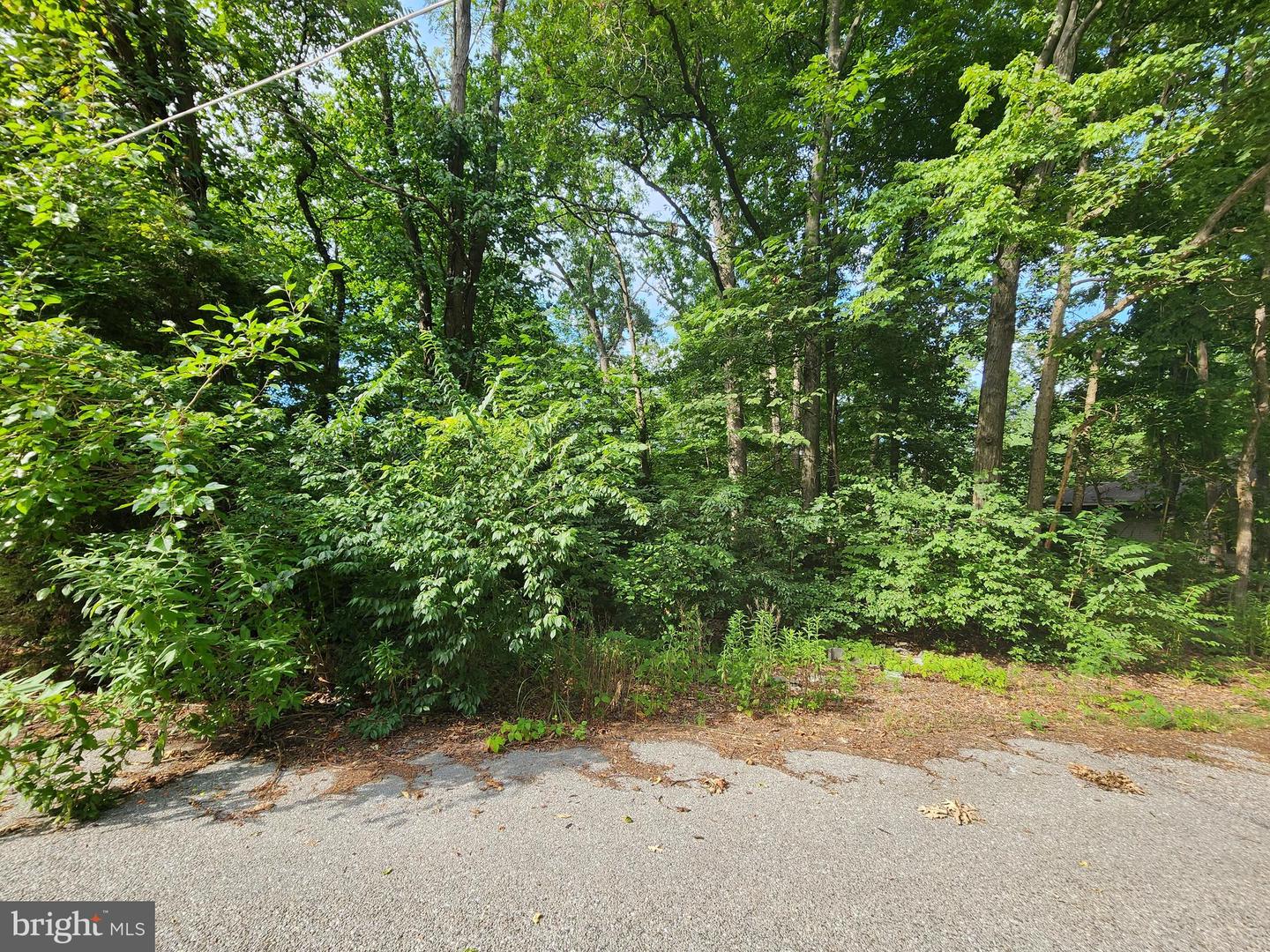 14 Lincoln Cv Property Photo