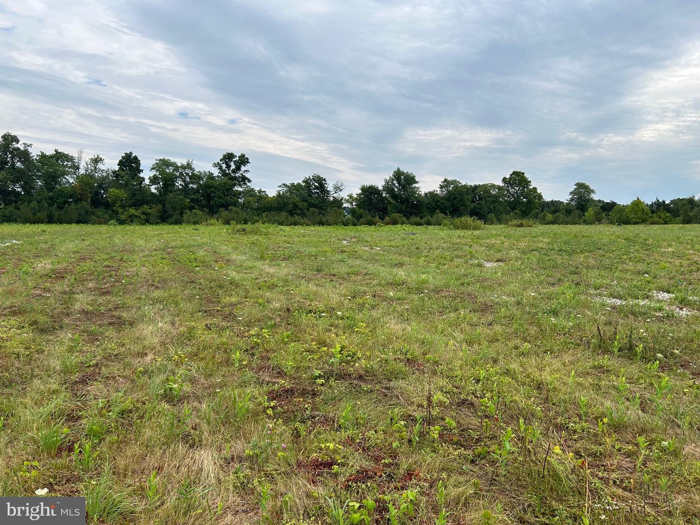 3608 Baltimore Pike Property Photo 11