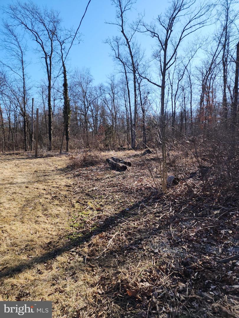 2940 Stoney Point Rd Property Photo 79