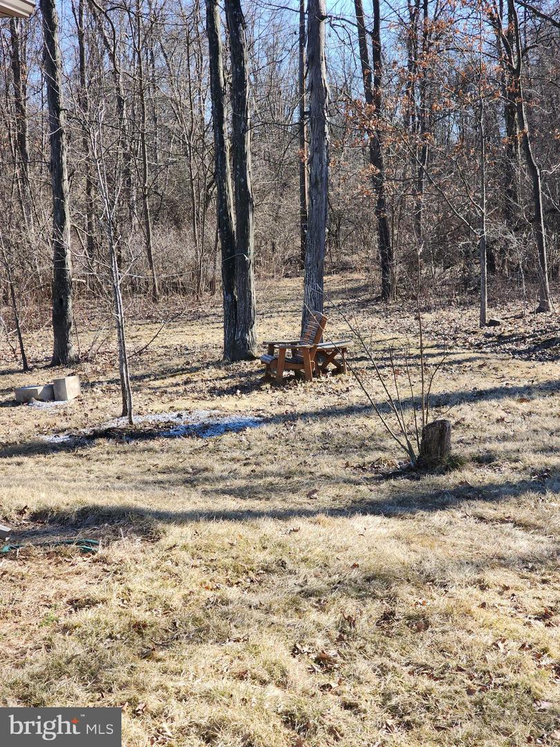 2940 Stoney Point Rd Property Photo 80
