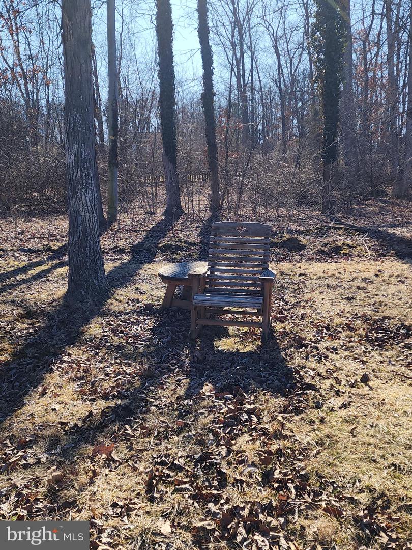 2940 Stoney Point Rd Property Photo 82