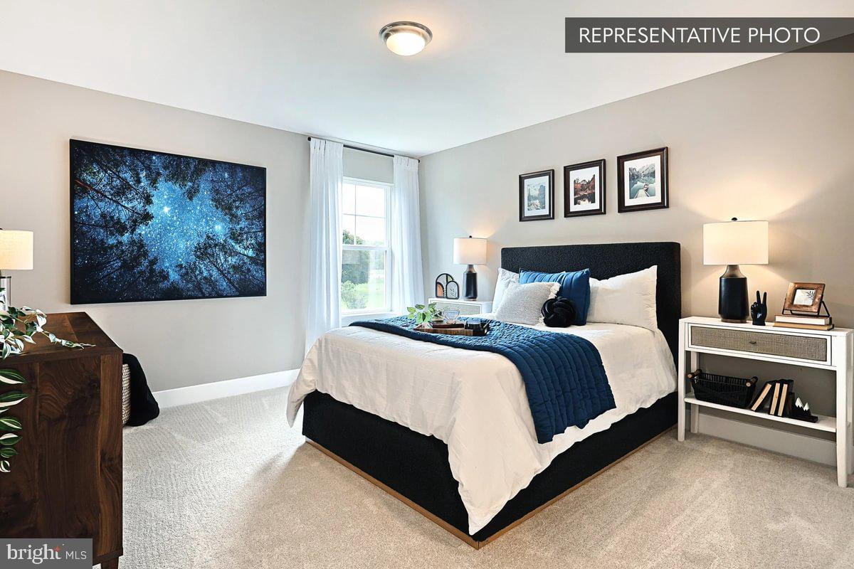 Blue Ridge Plan At Hampton Heights Property Photo 41