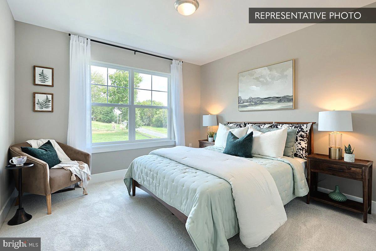 Blue Ridge Plan At Hampton Heights Property Photo 43