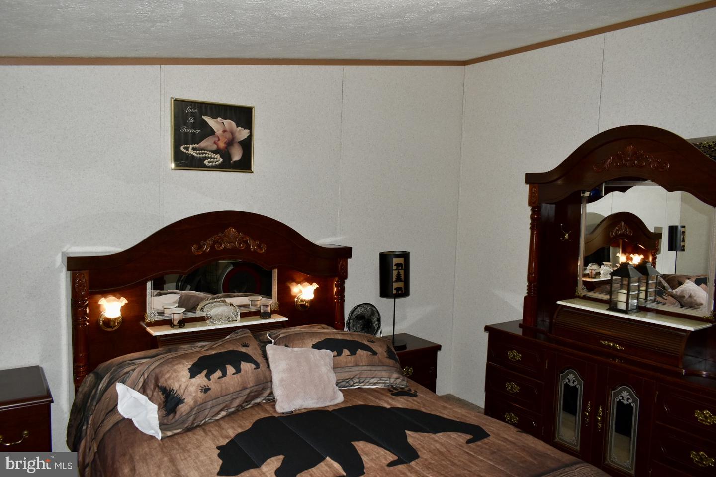 38 Broadwing Dr Property Photo 15