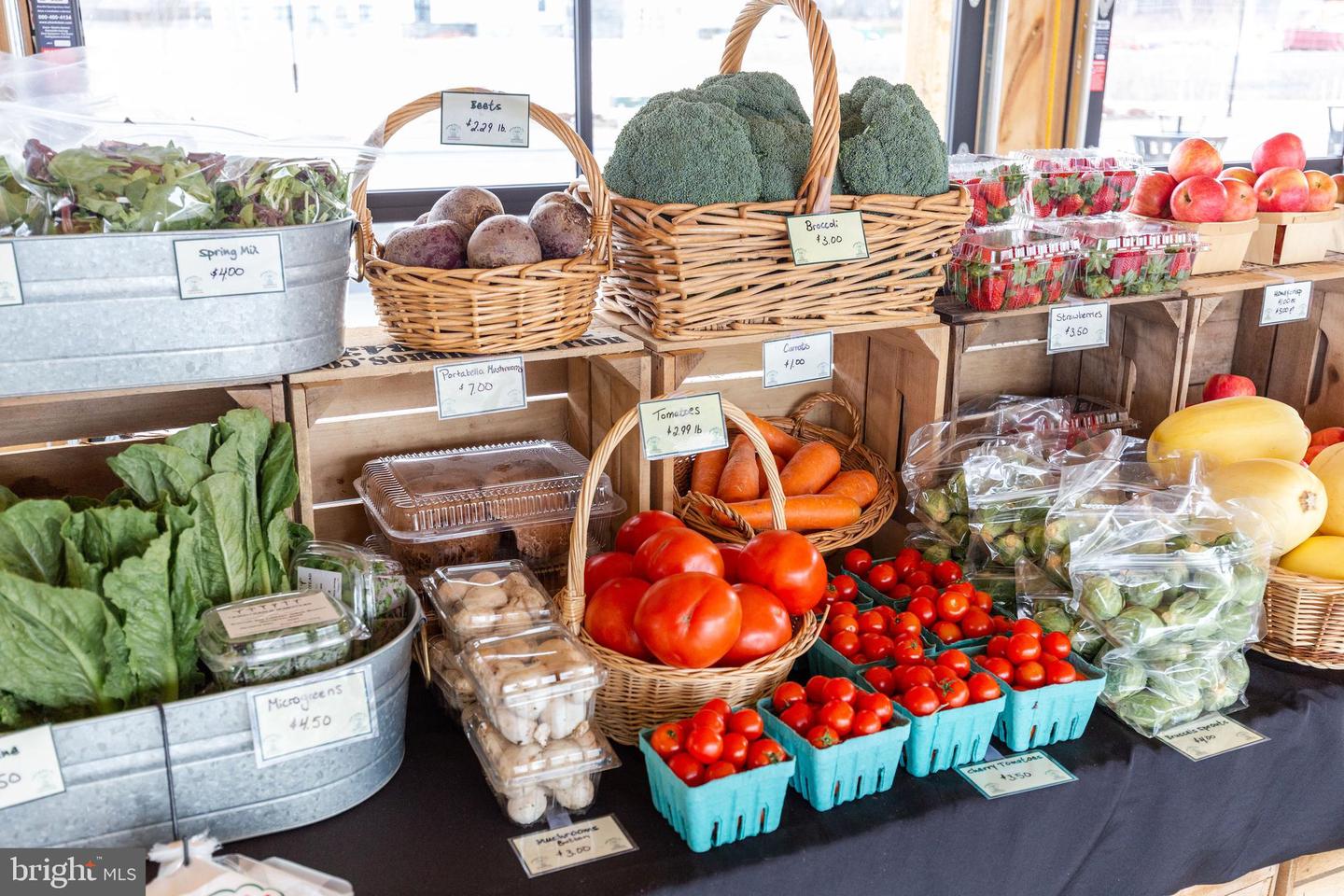 110 Grand Overlook Drive Property Photo 54