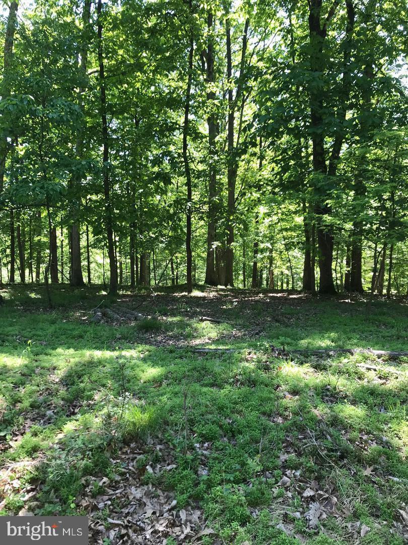 49 Rist Trl Property Photo