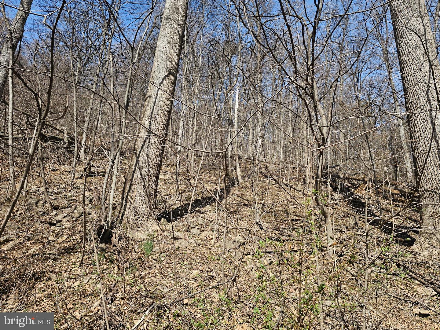 20 Plain View Trl Property Photo