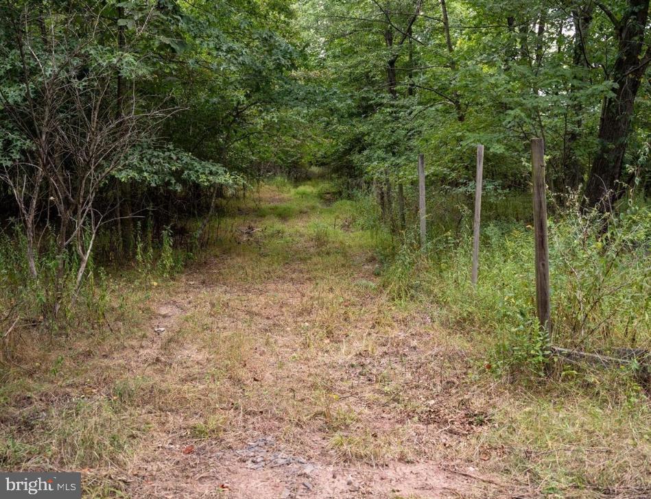 3430 Chambersburg Property Photo 4