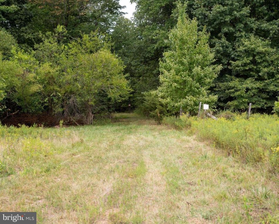 3430 Chambersburg Property Photo 5