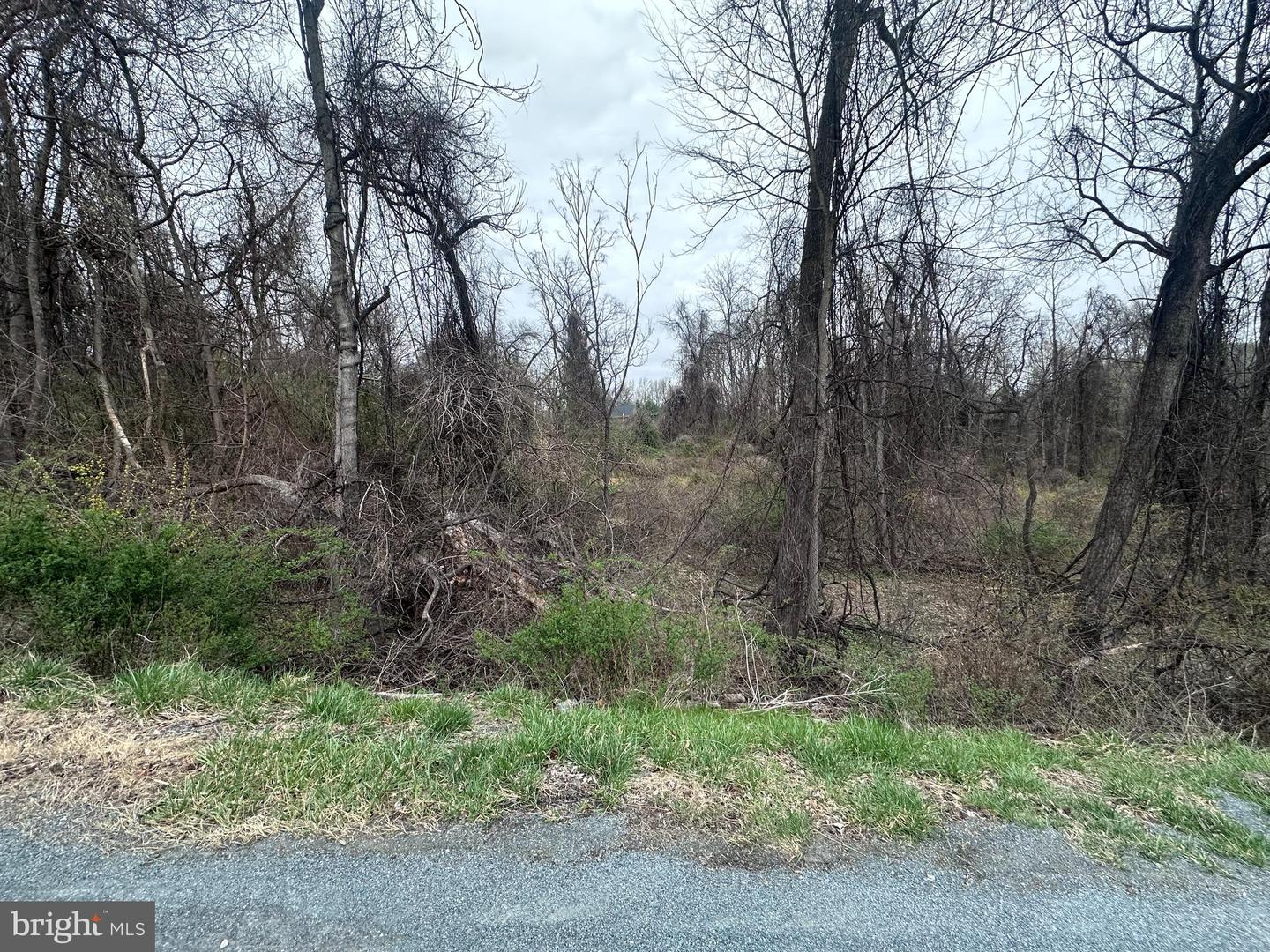 44 Eagle Trl Property Photo 5