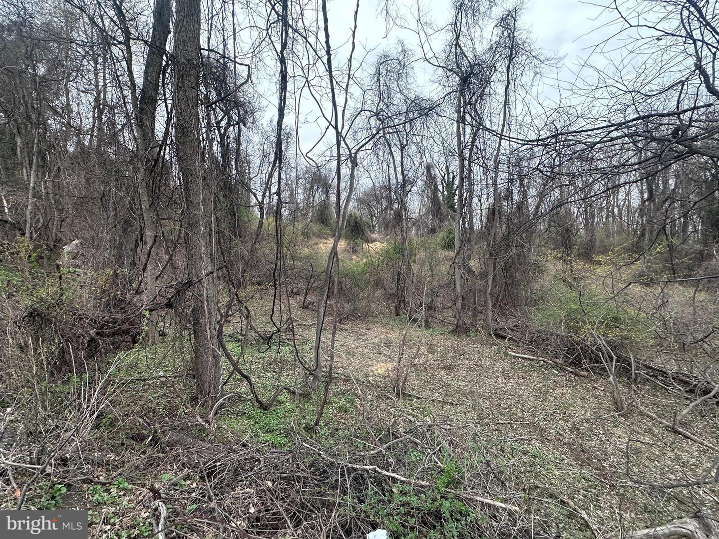 44 Eagle Trl Property Photo 6
