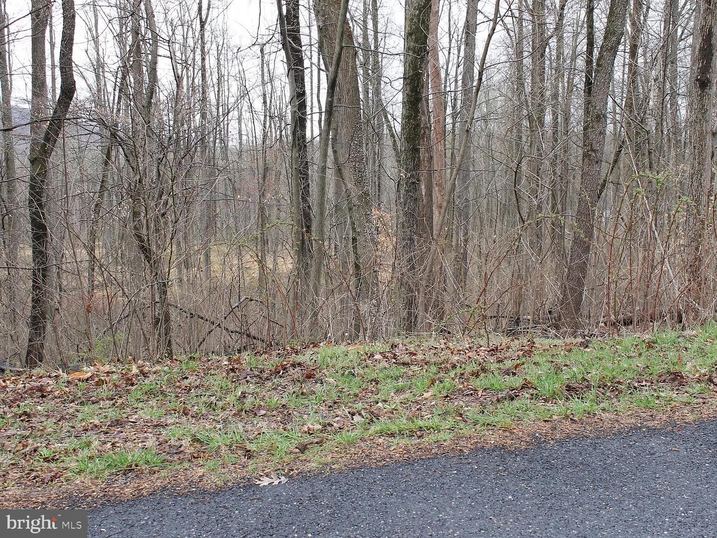 44 RIDGE TRL Property Photo 1
