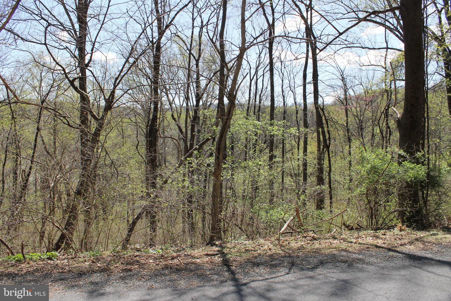 93 Mile Trl Property Photo 1