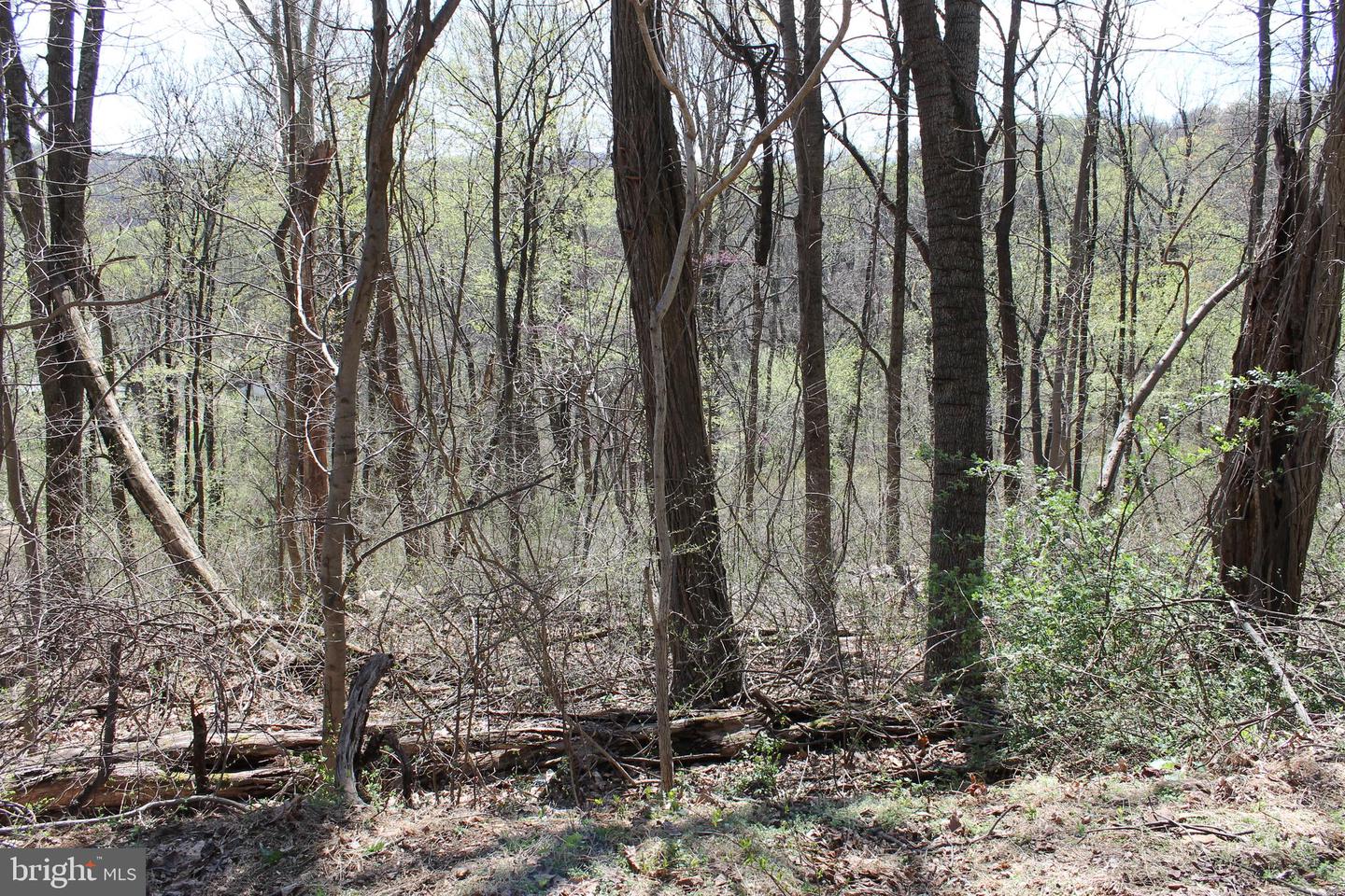 93 Mile Trl Property Photo 3
