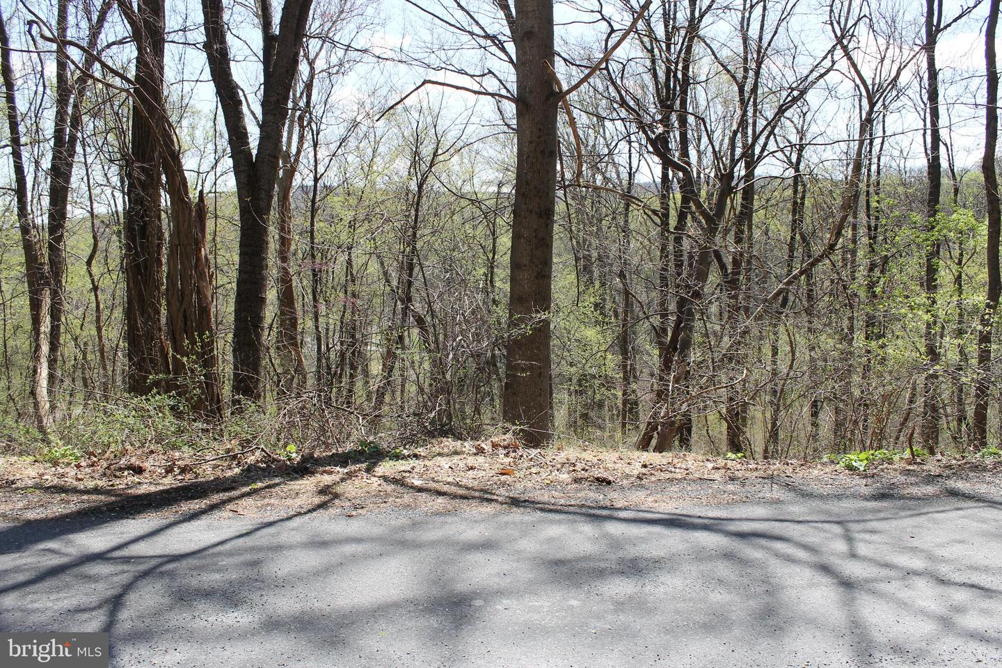 93 Mile Trl Property Photo 5