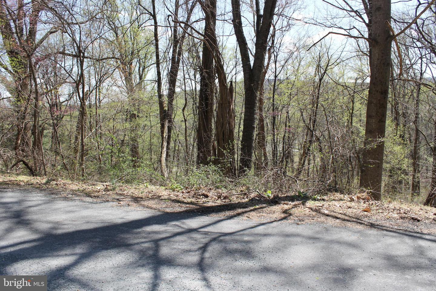 93 Mile Trl Property Photo 6