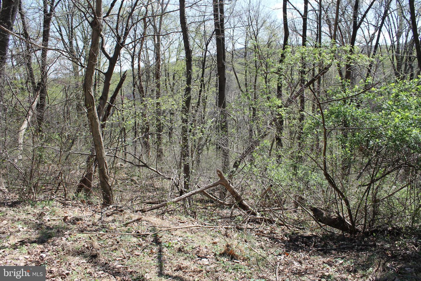 93 Mile Trl Property Photo 7