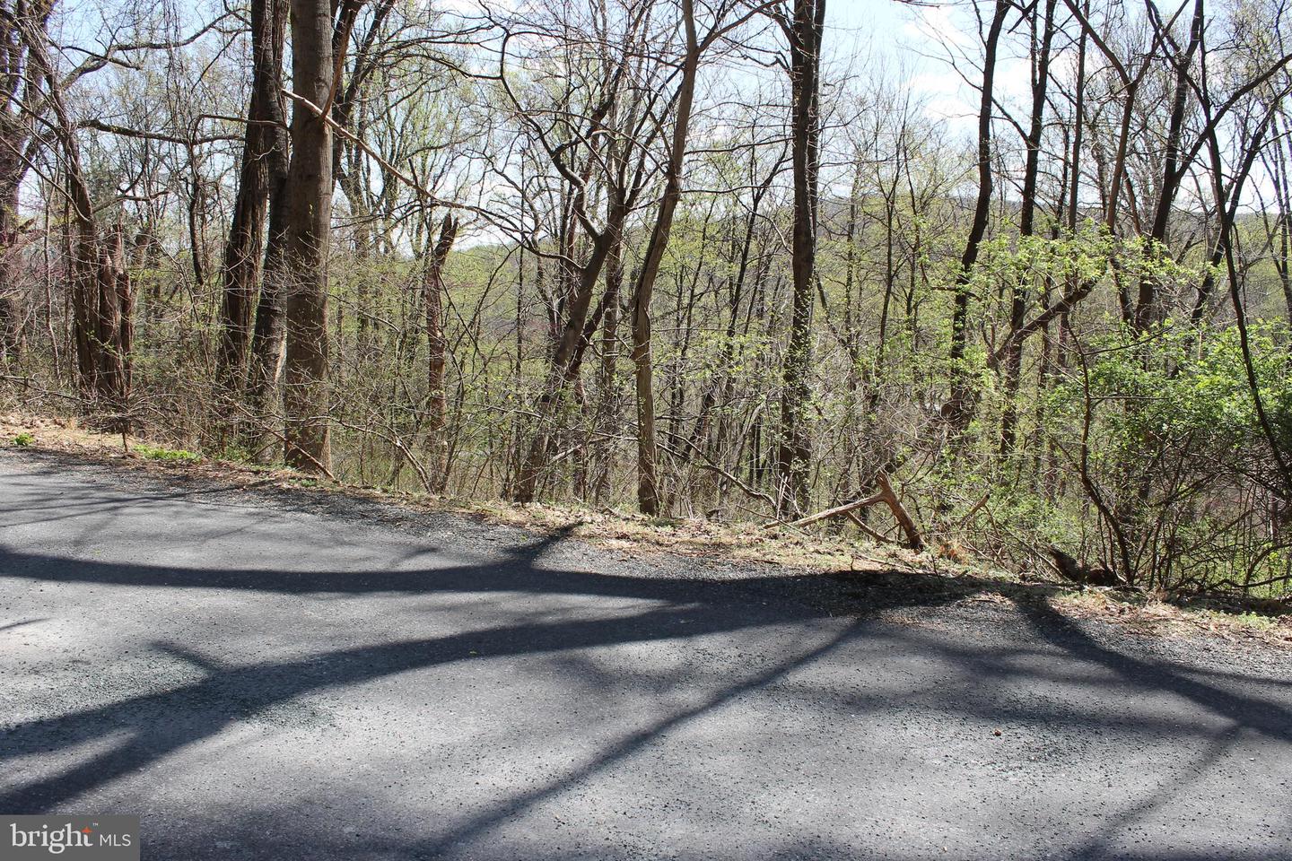 93 Mile Trl Property Photo 8