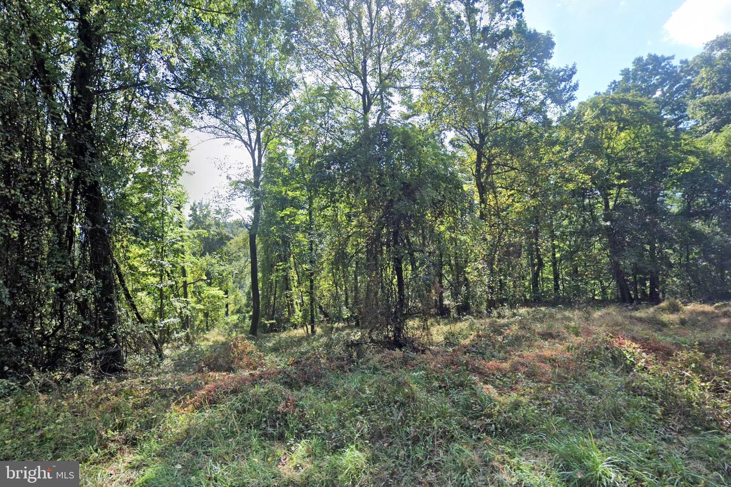 38 Ringneck Trl Property Photo 3