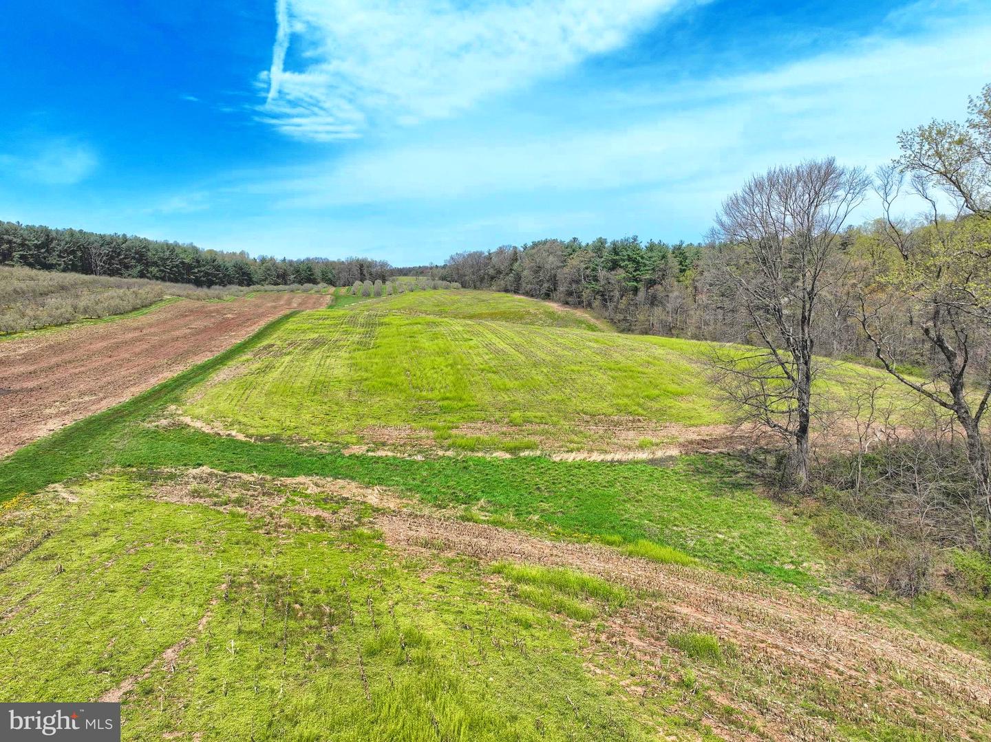 0 Heckenluber Rd Property Photo 14