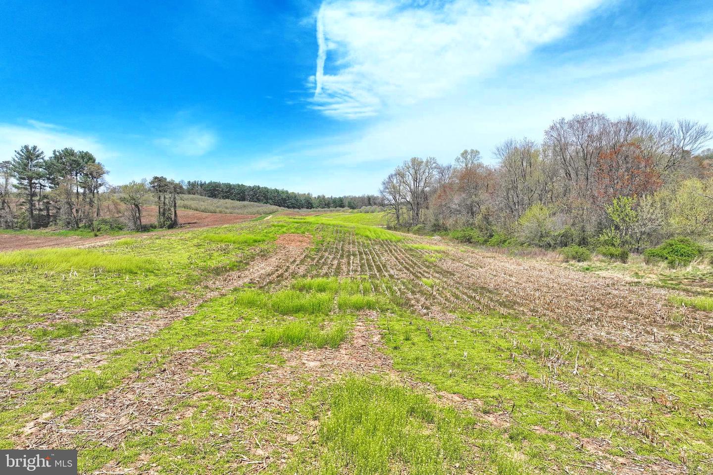 0 Heckenluber Rd Property Photo 15