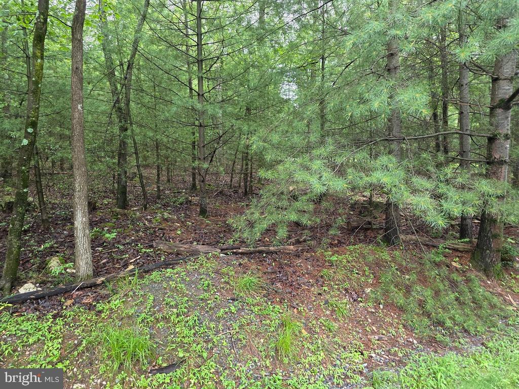 91 Hirschmann Rd Property Photo 1