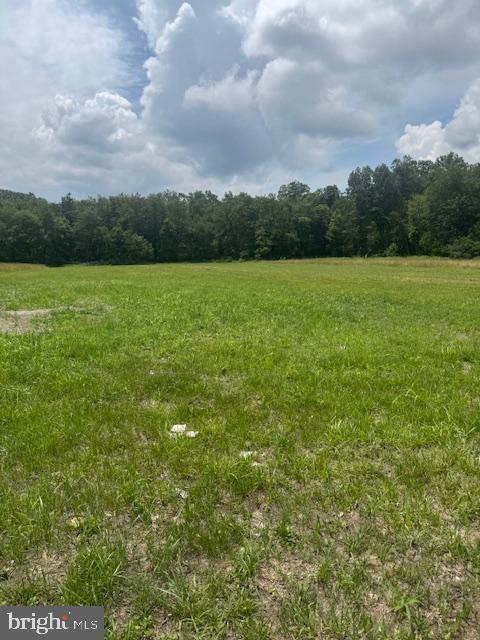 Lot #14 Cold Springs Rd Property Photo 1