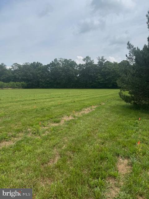 Lot #11 Cold Springs Rd Property Photo 1