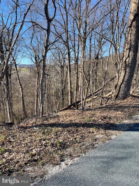 0 Rampike Hill Rd Property Photo 6