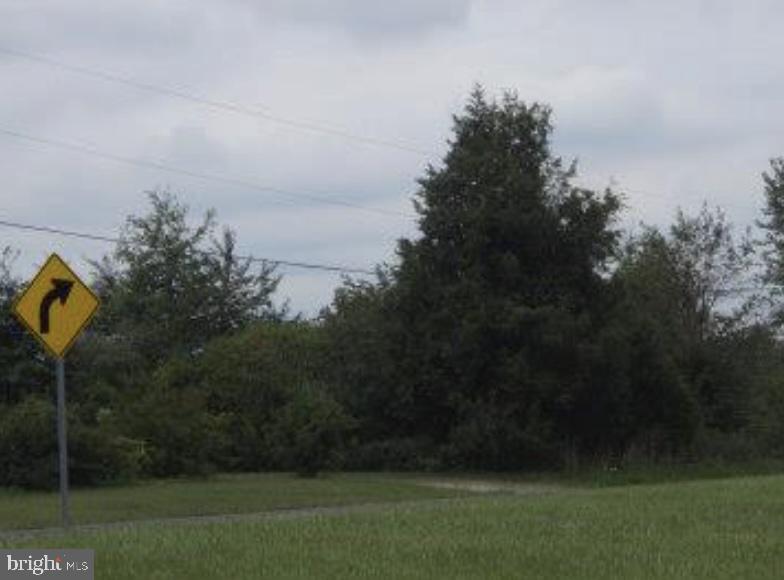 0 Weirmans Mill Rd Property Photo 1