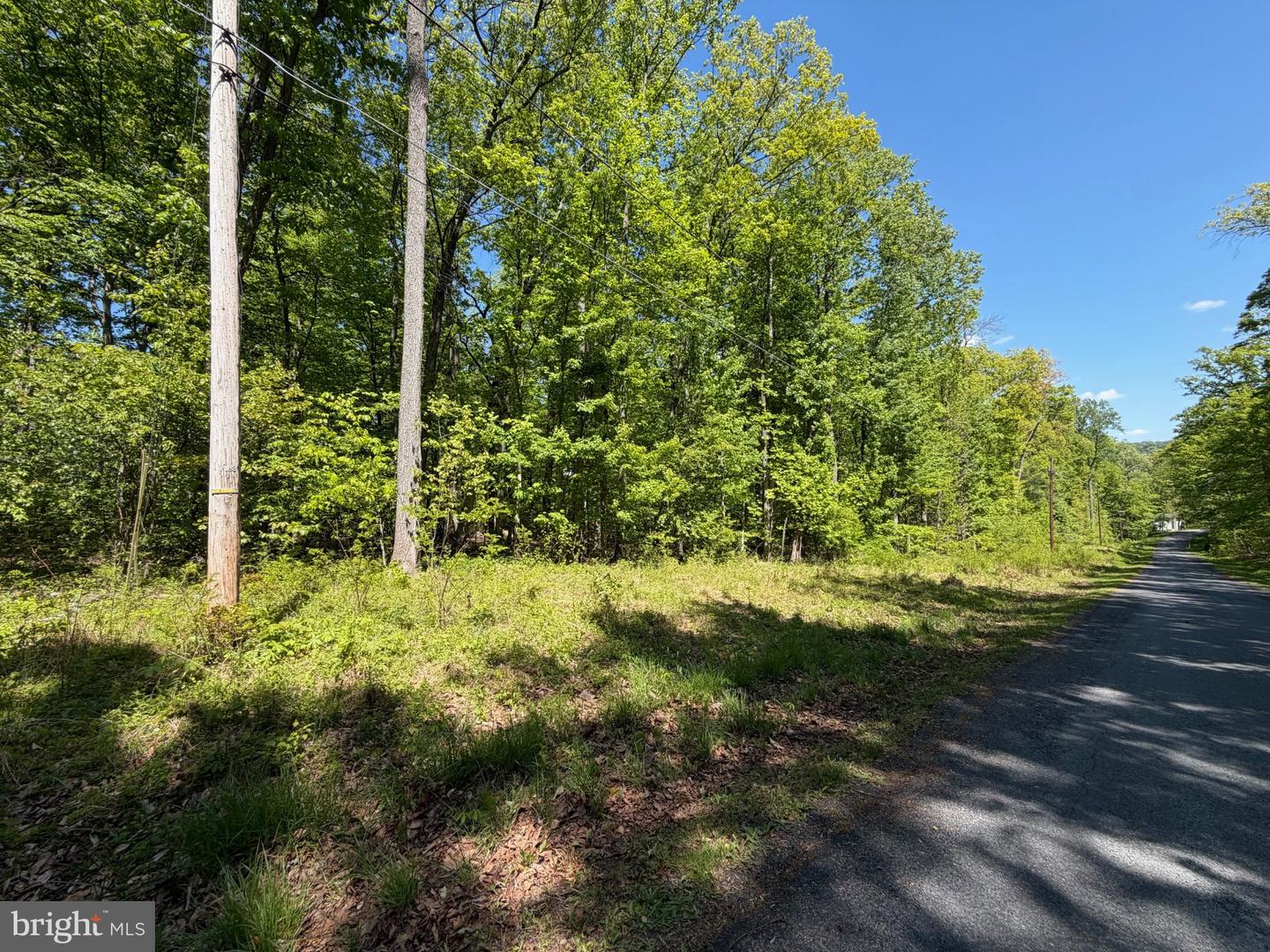 14 Deep Hollow Trl Property Photo 1