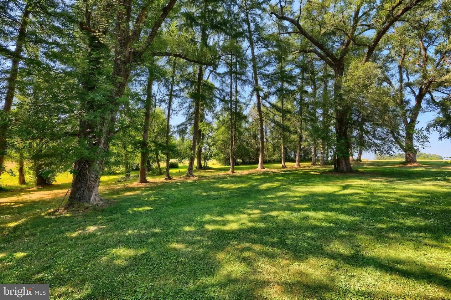 25 John Edward Dr Property Photo 74